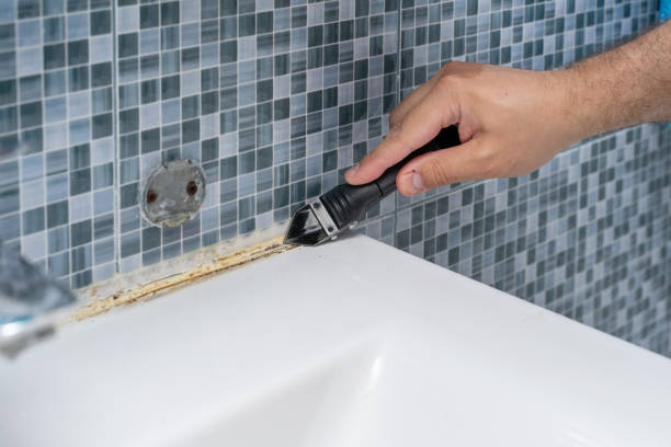 Best Preventive Mold Services in Timberlake, VA