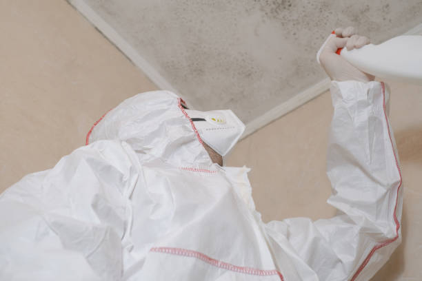 Best Kitchen Mold Remediation in Timberlake, VA