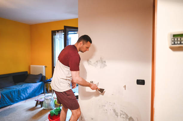 Best Mold Remediation for Specific Building Types in Timberlake, VA
